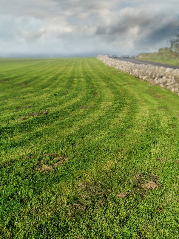 Acreage Mowing Service in Waldorf, MD