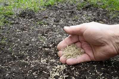 Commercial Grass Seeding in Ventura County, CA