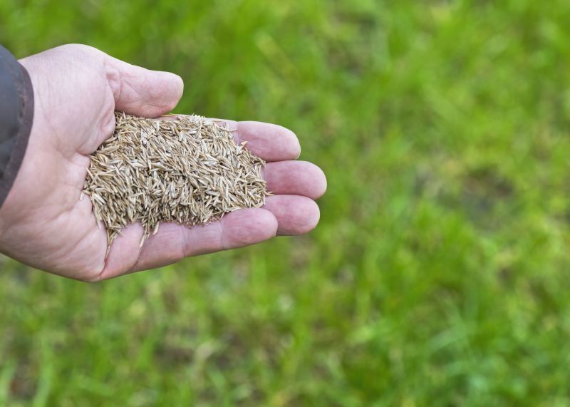 Commercial Lawn Seeding in Honolulu, HI