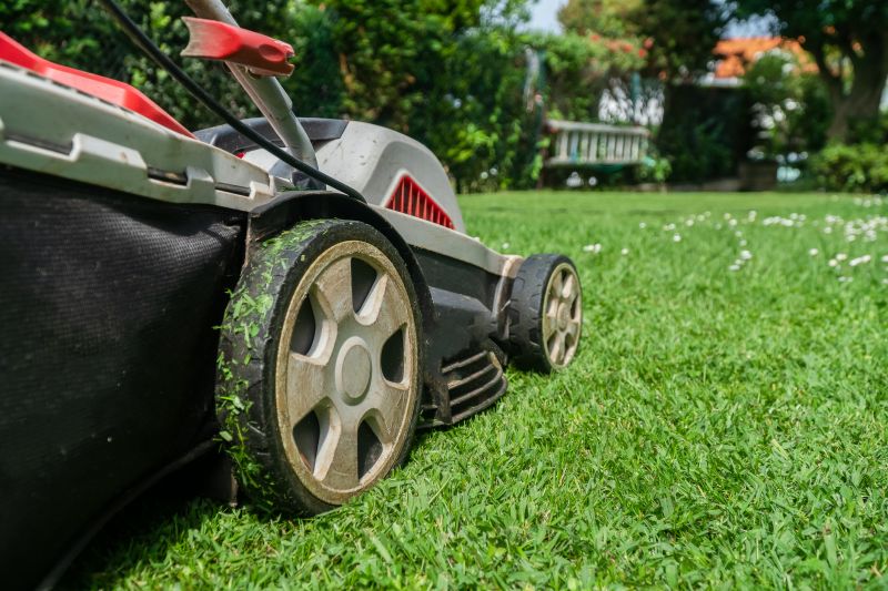 Lawn Mowing in Bowie, MD